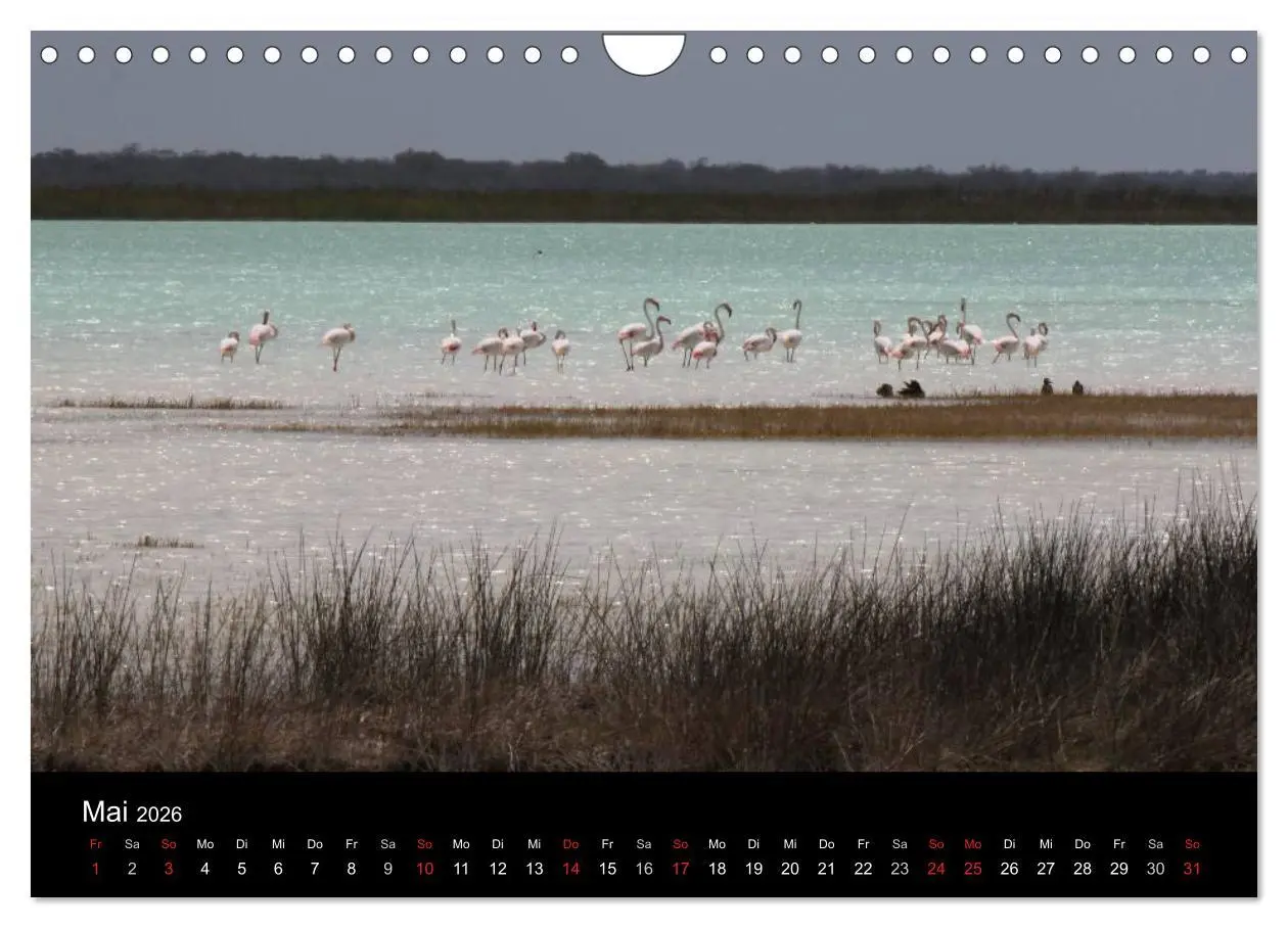 Bild: 9783457960127 | Abenteuer Madagaskar (Wandkalender 2026 DIN A4 quer), CALVENDO...