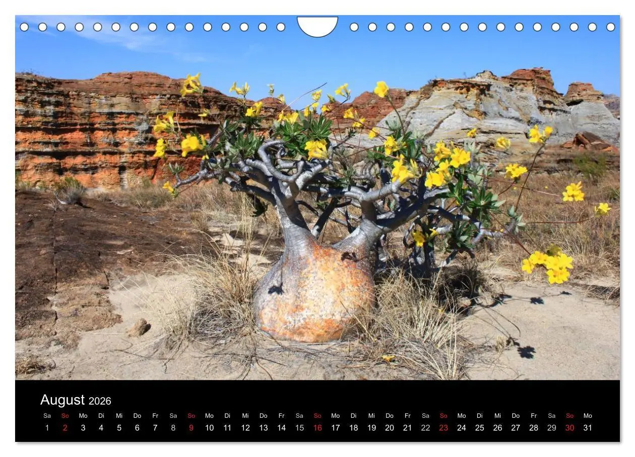 Bild: 9783457960127 | Abenteuer Madagaskar (Wandkalender 2026 DIN A4 quer), CALVENDO...