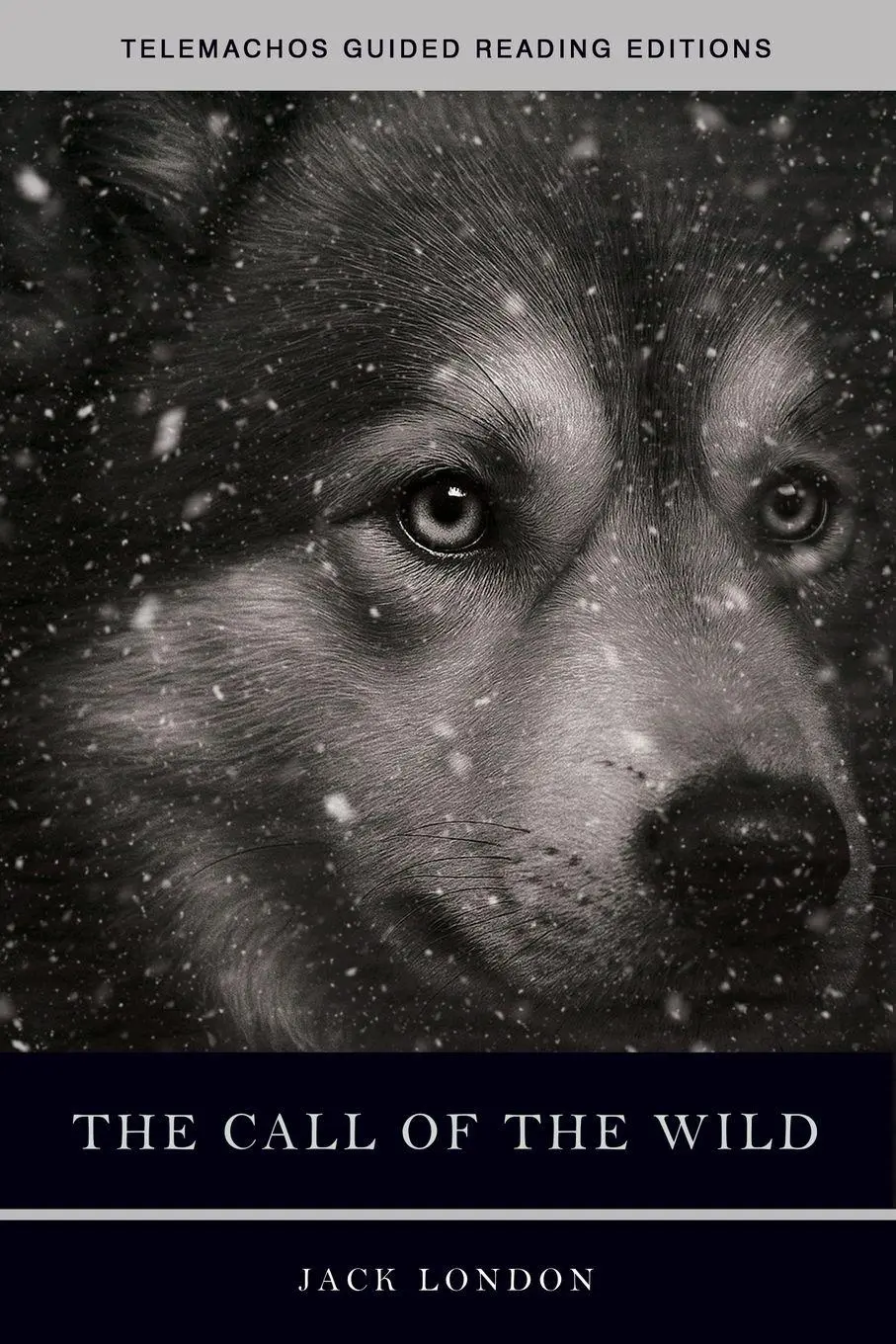 Cover: 9798992290127 | The Call of the Wild | Jack London | Taschenbuch | Englisch | 2025