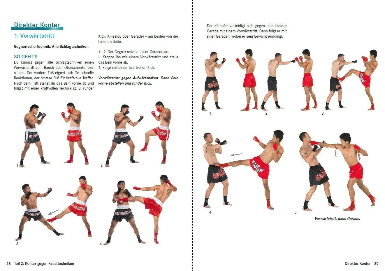 Bild: 9783613510227 | Thaiboxen - Profitechniken und Kampftraining | Christoph Delp | Buch