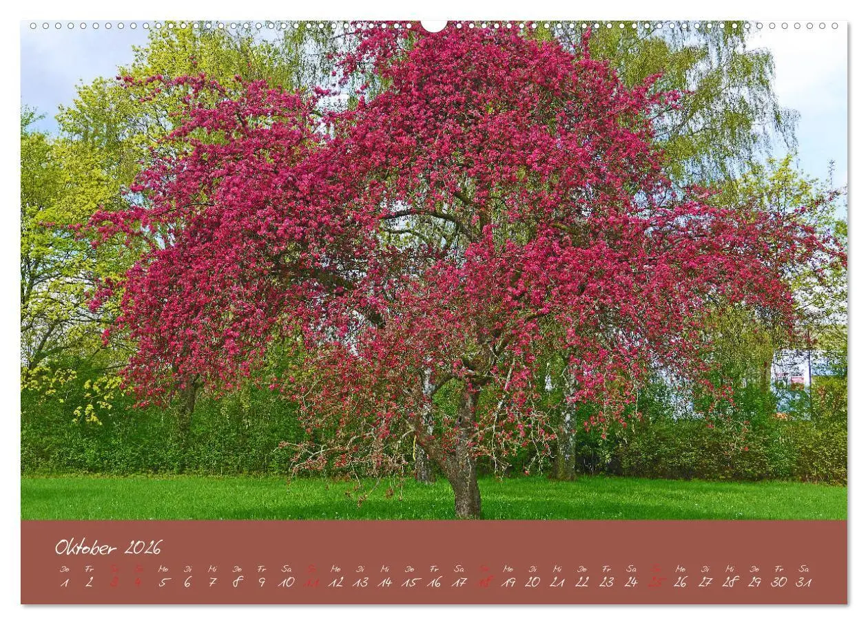 Bild: 9783457700327 | Düsseldorfer Nordpark (hochwertiger Premium Wandkalender 2026 DIN...