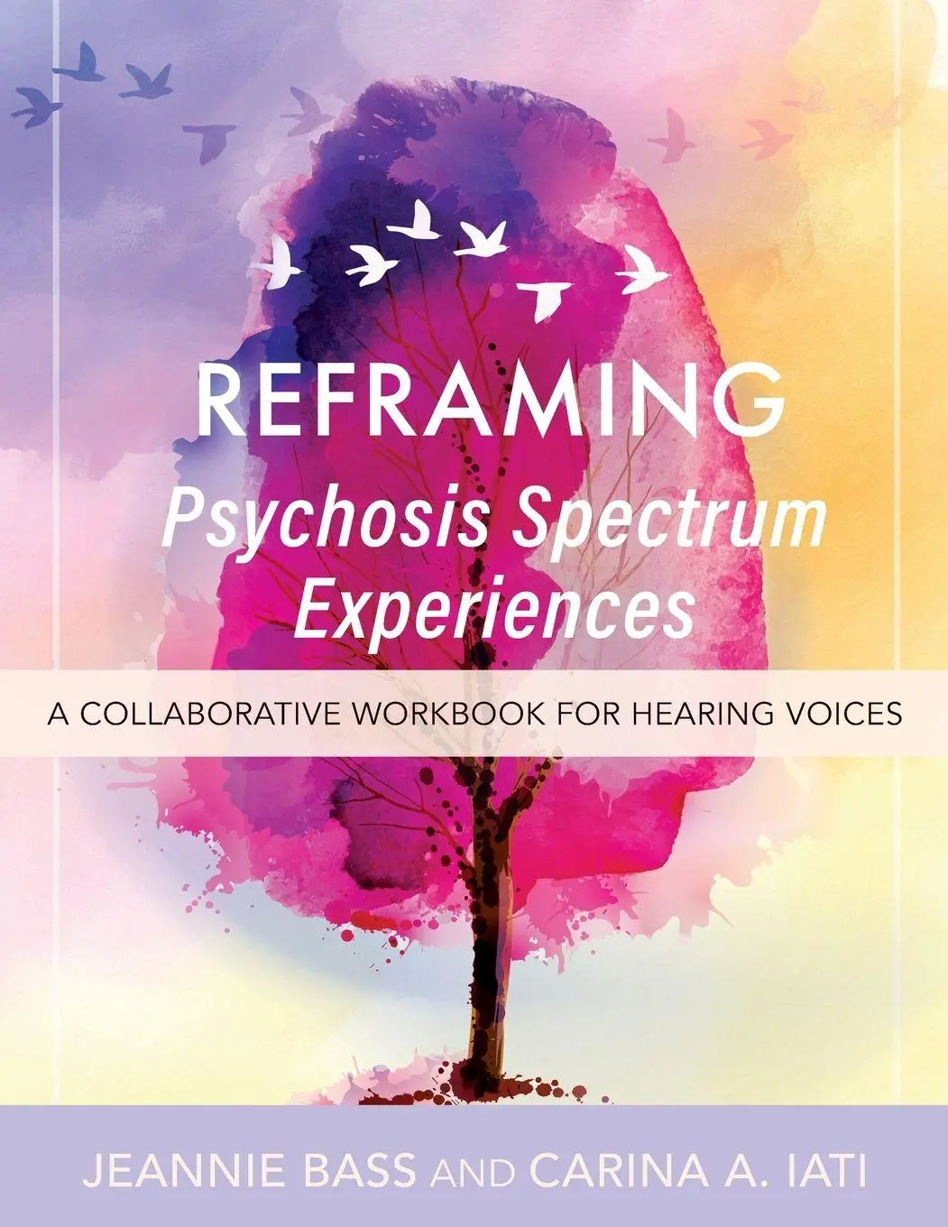 Cover: 9798823350327 | Reframing Psychosis Spectrum Experiences | Jeannie Bass (u. a.) | Buch