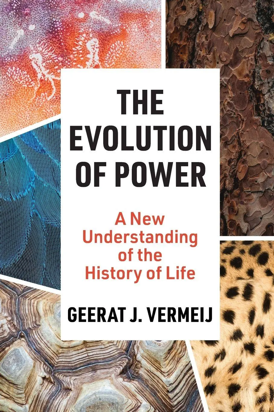 Cover: 9780691250427 | The Evolution of Power | A New Understanding of the History of Life