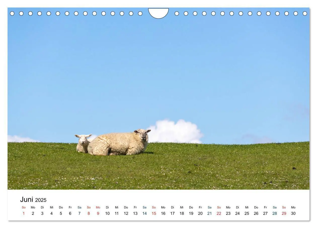 Bild: 9783435150427 | Unterwegs in Nordfriesland (Wandkalender 2025 DIN A4 quer),...