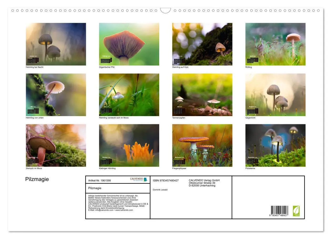 Bild: 9783457480427 | Pilzmagie (Wandkalender 2026 DIN A2 quer), CALVENDO Monatskalender