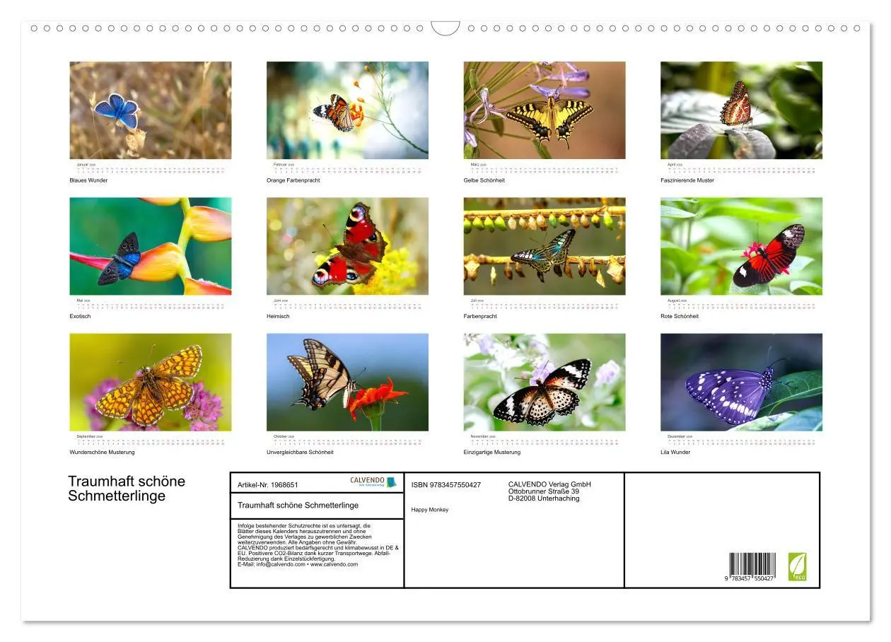 Bild: 9783457550427 | Traumhaft schöne Schmetterlinge (Wandkalender 2026 DIN A2 quer),...