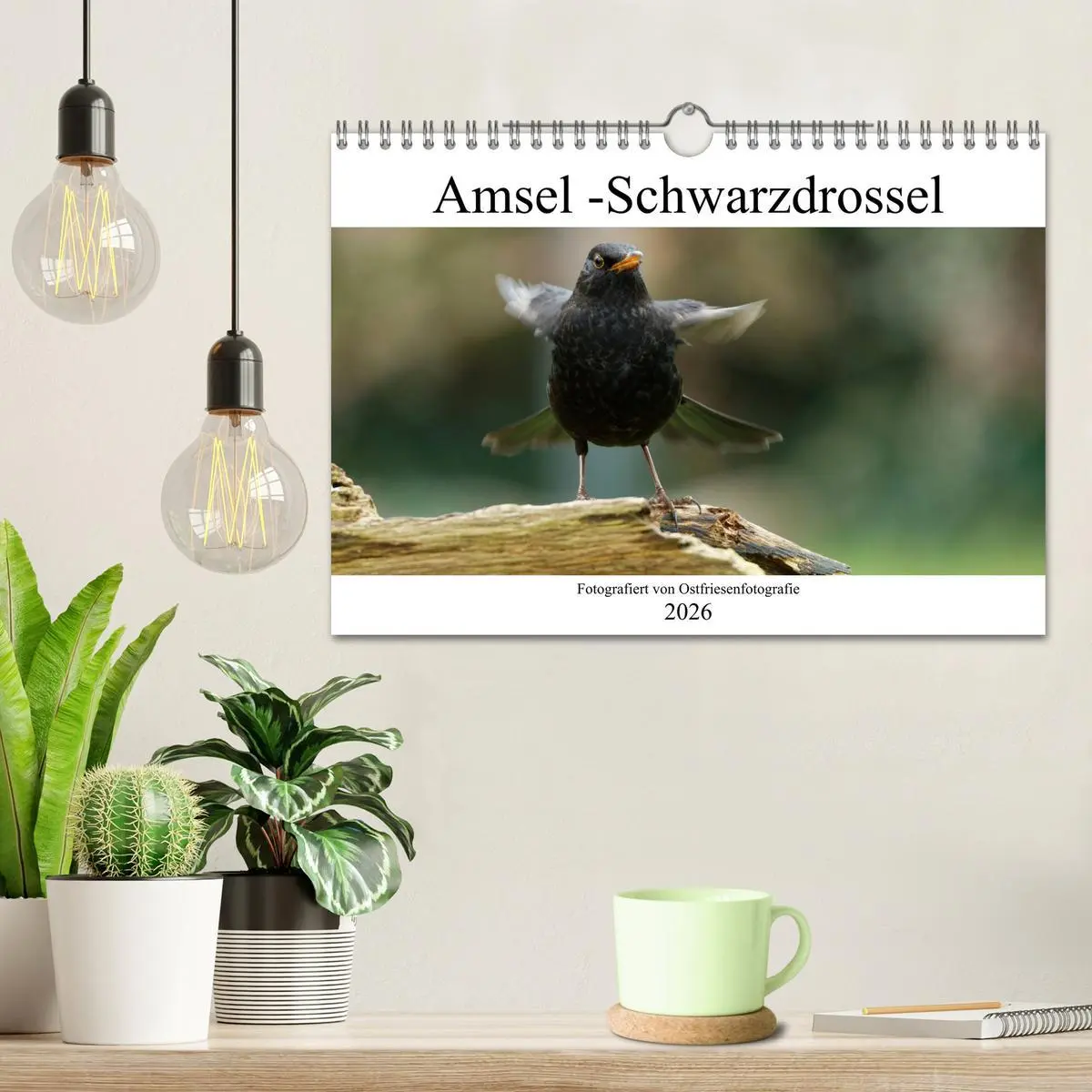 Bild: 9783457620427 | Amsel - Schwarzdrossel fotografiert von Ostfriesenfotografie...