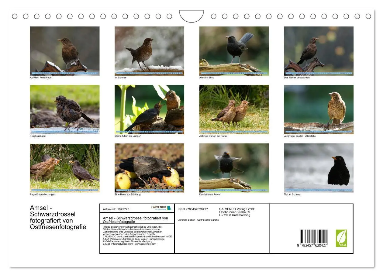 Bild: 9783457620427 | Amsel - Schwarzdrossel fotografiert von Ostfriesenfotografie...