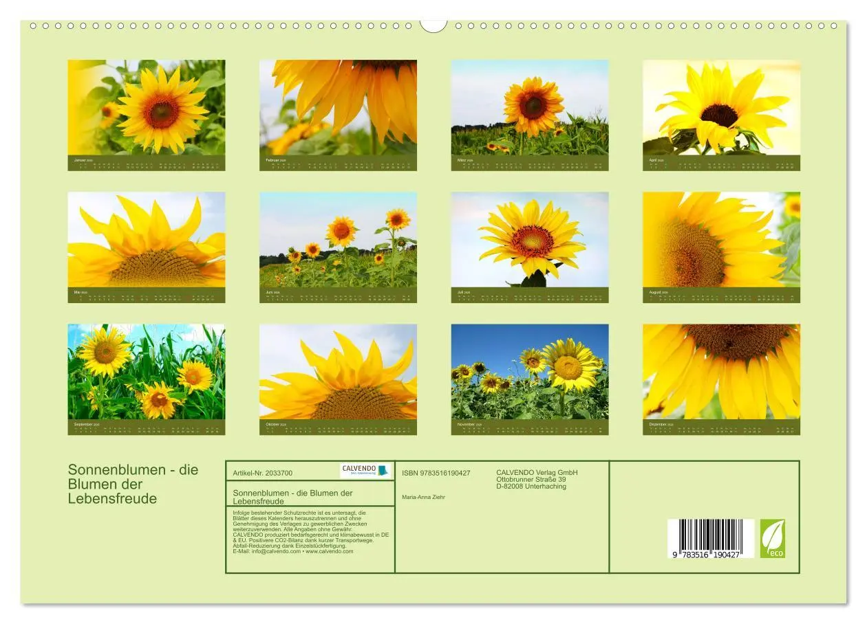 Bild: 9783516190427 | Sonnenblumen - die Blumen der Lebensfreude (hochwertiger Premium...