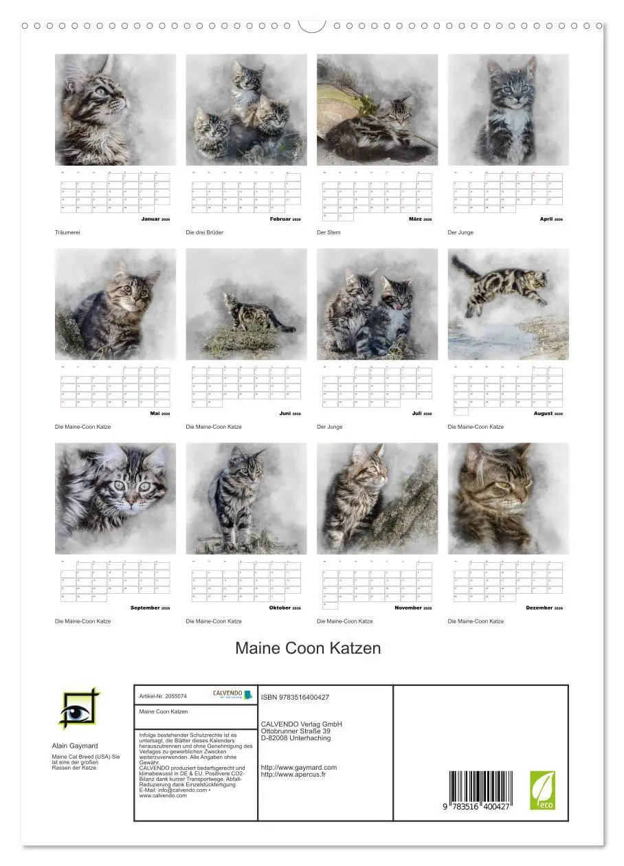 Bild: 9783516400427 | Maine Coon Katzen (hochwertiger Premium Wandkalender 2026 DIN A2...