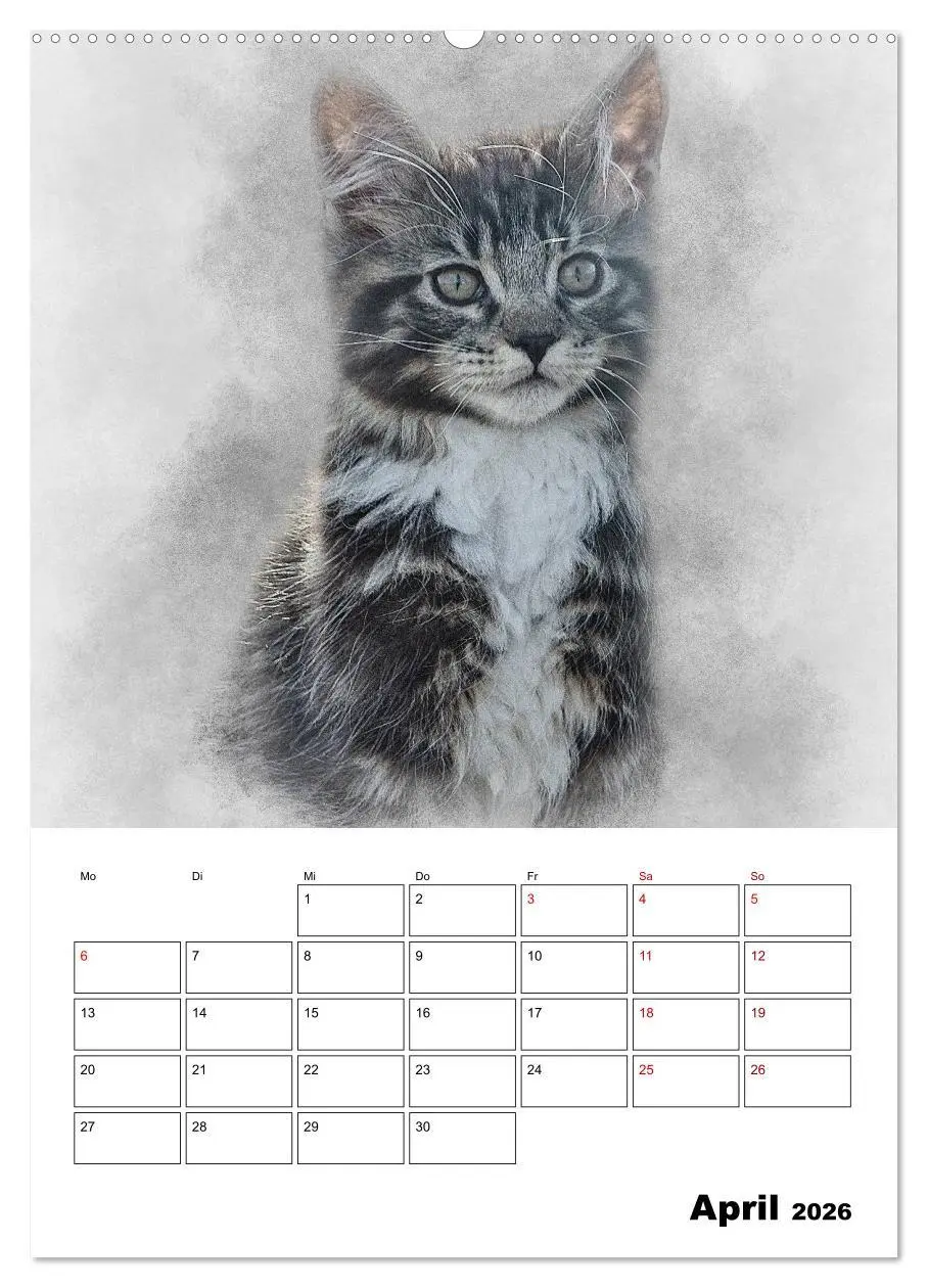 Bild: 9783516400427 | Maine Coon Katzen (hochwertiger Premium Wandkalender 2026 DIN A2...