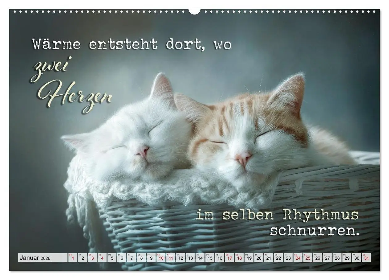 Bild: 9783516710427 | Katzenpoesie - Herzberührende Verse (hochwertiger Premium...