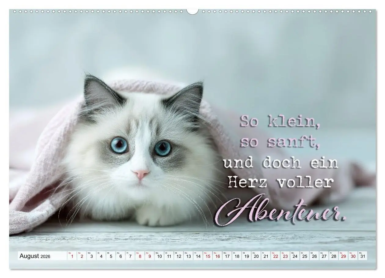 Bild: 9783516710427 | Katzenpoesie - Herzberührende Verse (hochwertiger Premium...