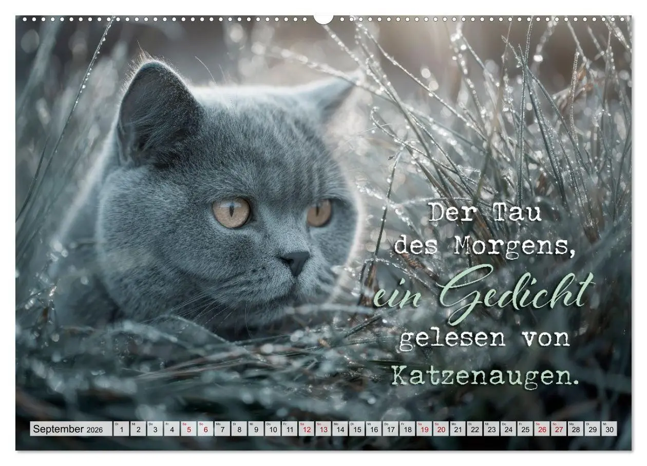 Bild: 9783516710427 | Katzenpoesie - Herzberührende Verse (hochwertiger Premium...