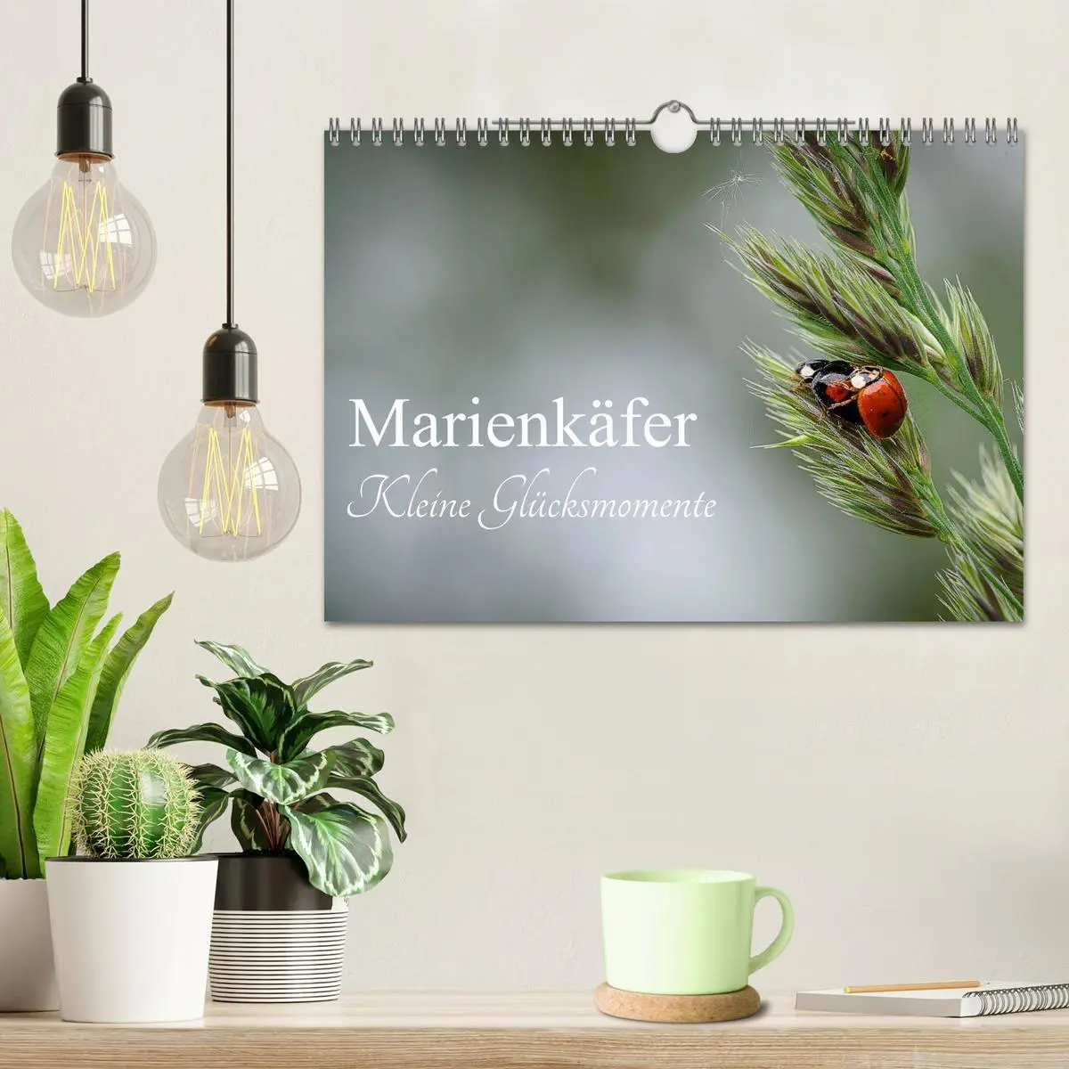 Bild: 9783457780527 | Marienkäfer - kleine Glücksmomente (Wandkalender 2026 DIN A4 quer),...