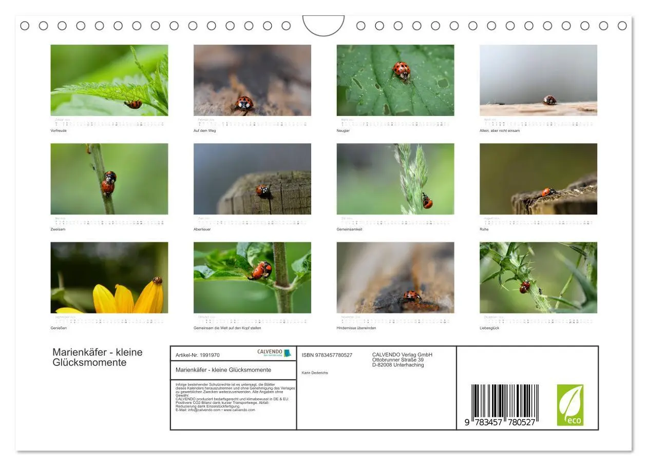 Bild: 9783457780527 | Marienkäfer - kleine Glücksmomente (Wandkalender 2026 DIN A4 quer),...