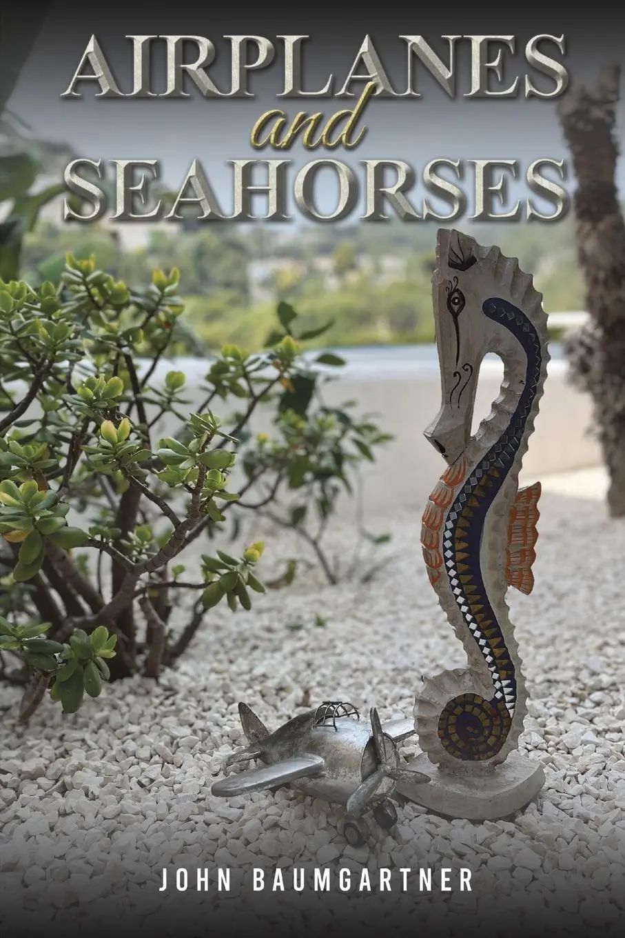 Cover: 9781035820627 | Airplanes and Seahorses | John Baumgartner | Taschenbuch | Englisch