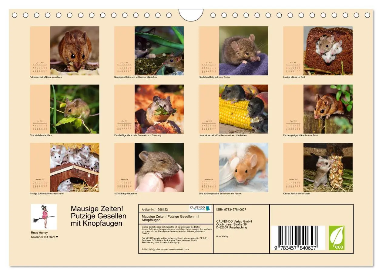 Bild: 9783457840627 | Mausige Zeiten! Putzige Gesellen mit Knopfaugen (Wandkalender 2026...