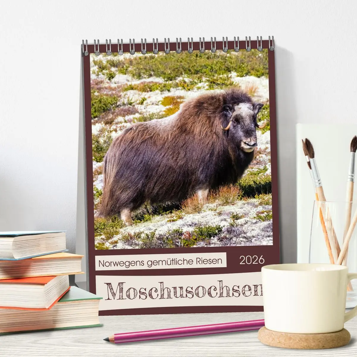 Bild: 9783516240627 | Moschusochsen - Norwegens gemütliche Riesen (Tischkalender 2026 DIN...