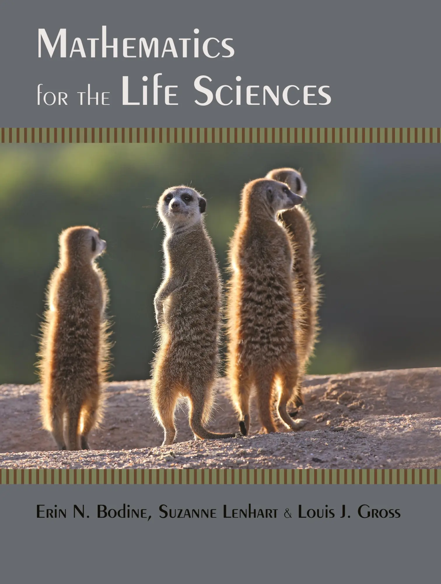 Cover: 9780691150727 | Mathematics for the Life Sciences | Erin N Bodine (u. a.) | Buch
