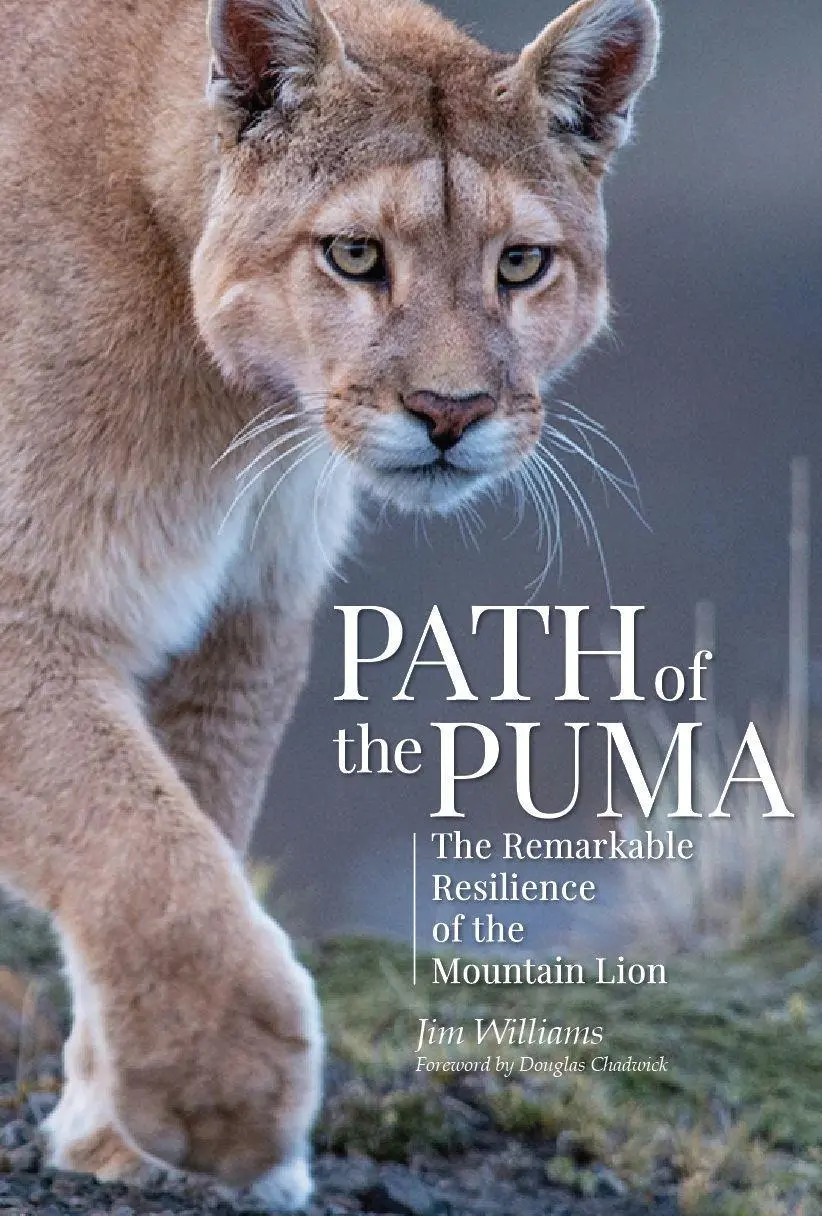Cover: 9781938340727 | Path of the Puma | The Remarkable Resilience of the Mountain Lion