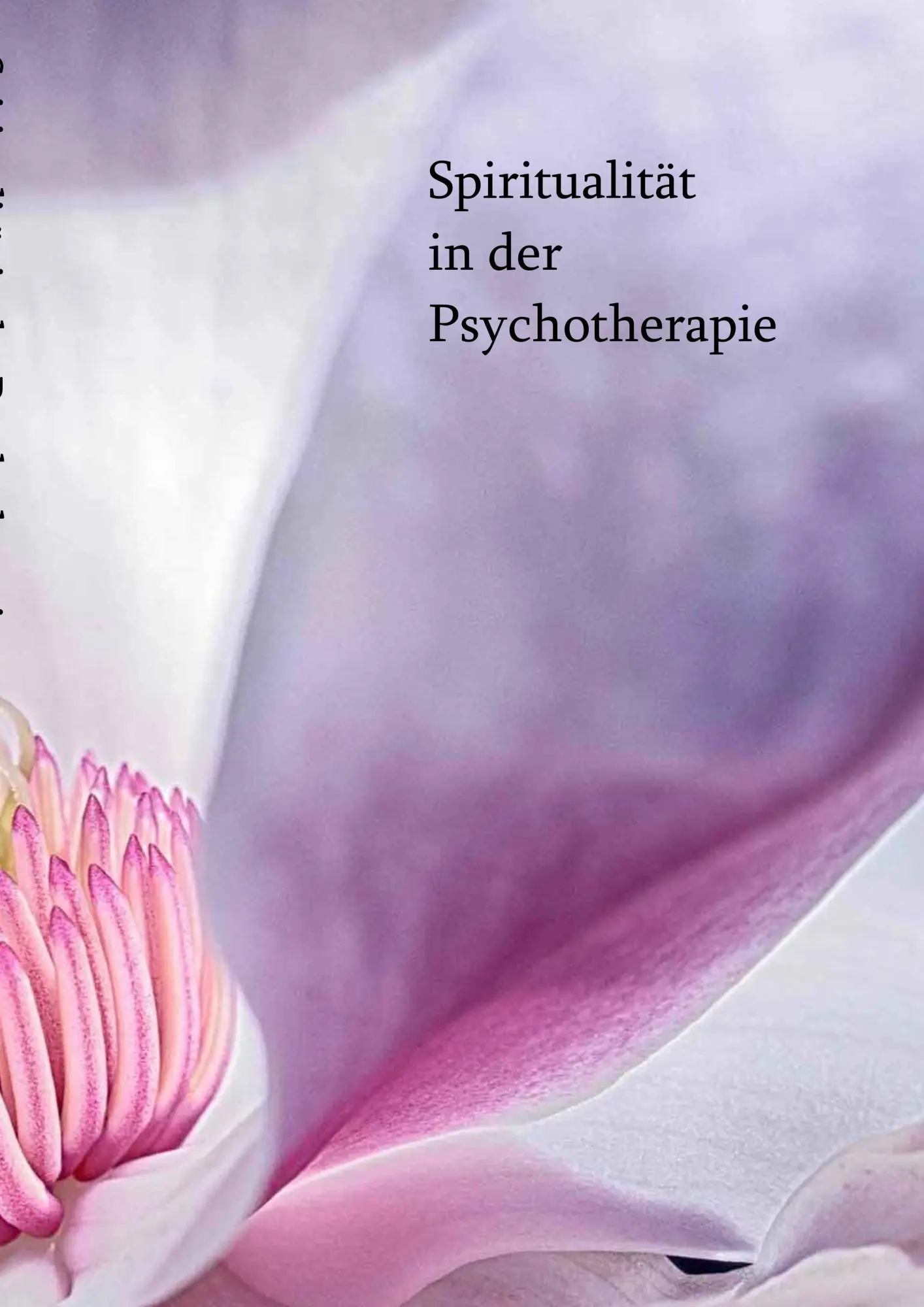 Cover: 9783741270727 | Spiritualität in der Psychotherapie | Kongressbuch | Karin Engelkamp