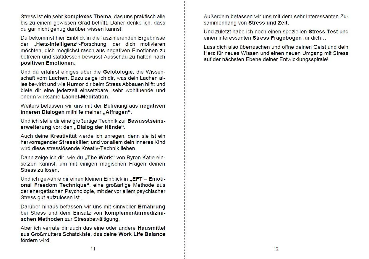 Bild: 9783967380927 | Stress abbauen und Stress vermeiden | Michelle Haintz | Taschenbuch