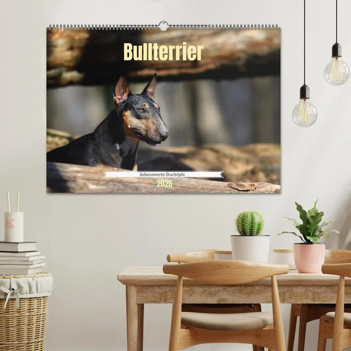Bild: 9783457321027 | Bullterrier, liebenswerte Sturköpfe (Wandkalender 2026 DIN A2...