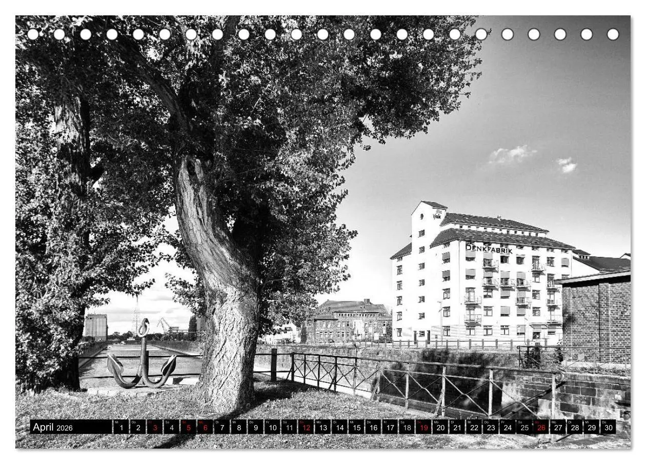 Bild: 9783516031027 | Magdeburg in Schwarz - Weiß (Tischkalender 2026 DIN A5 quer),...