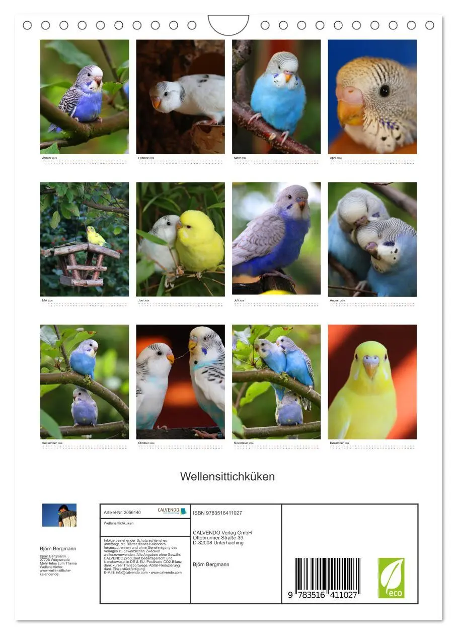 Bild: 9783516411027 | Wellensittichküken (Wandkalender 2026 DIN A4 hoch), CALVENDO...