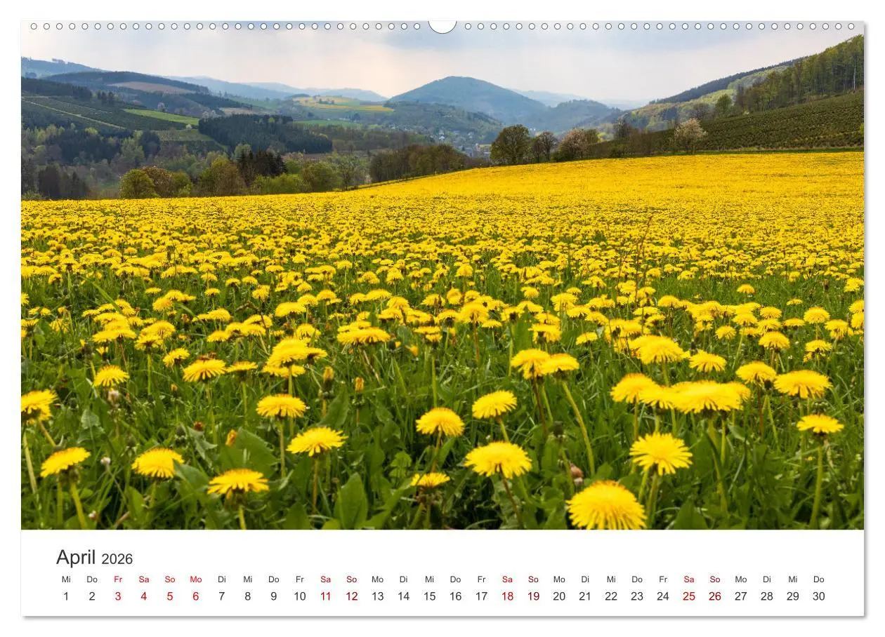 Bild: 9783457551127 | Das Sauerland im Wechsel der Jahreszeiten (Wandkalender 2026 DIN A2...