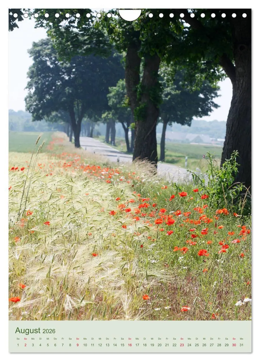 Bild: 9783516401127 | Mohn im Feld (Wandkalender 2026 DIN A4 hoch), CALVENDO Monatskalender
