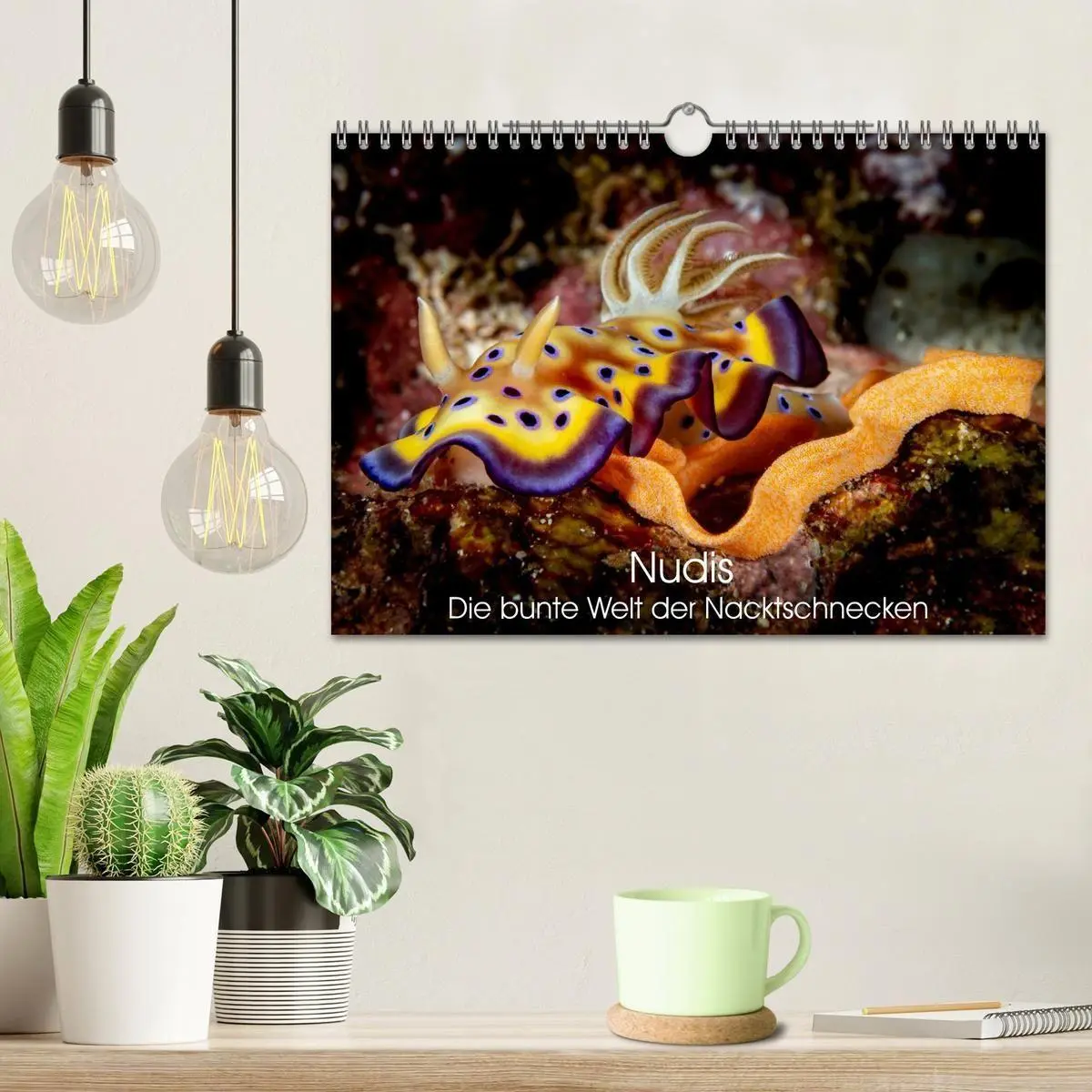Bild: 9783516641127 | Nudis - Die bunte Welt der Nacktschnecken (Wandkalender 2026 DIN A4...