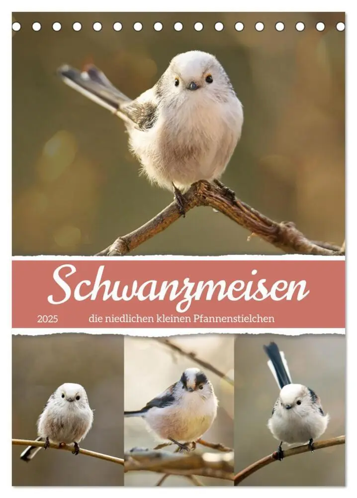 Cover: 9783383811227 | Schwanzmeisen, die niedlichen kleinen Pfannenstielchen...