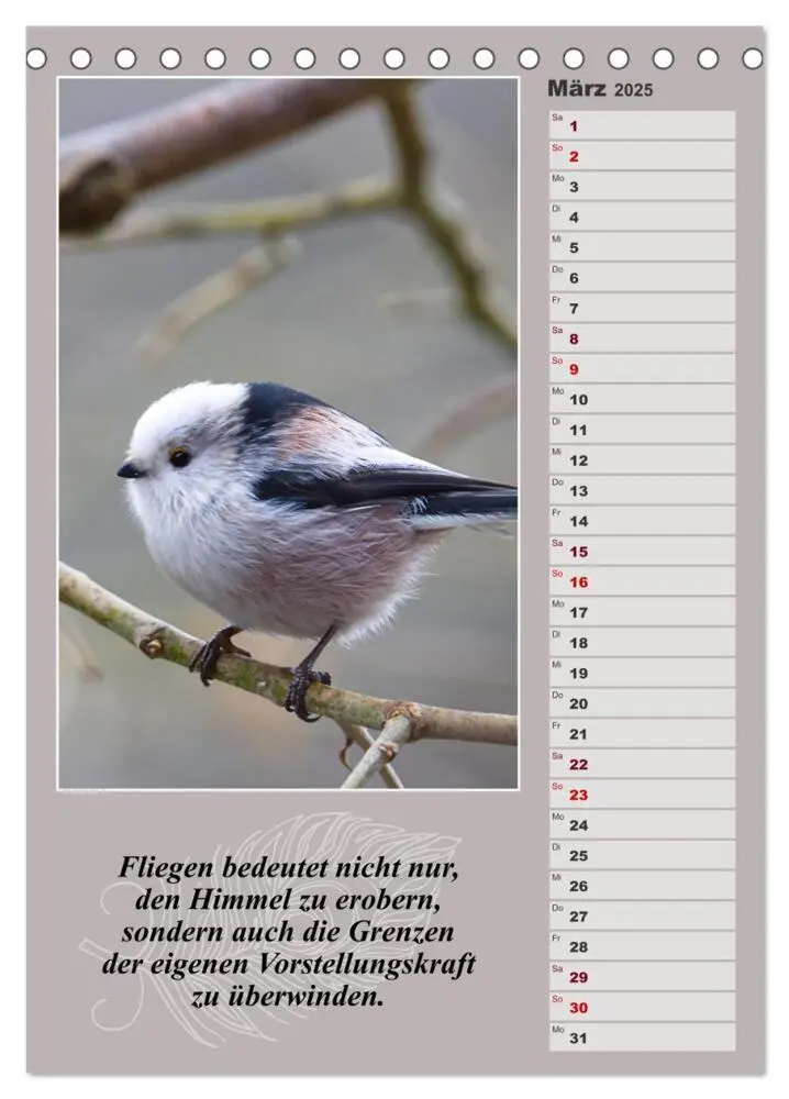Bild: 9783383811227 | Schwanzmeisen, die niedlichen kleinen Pfannenstielchen...