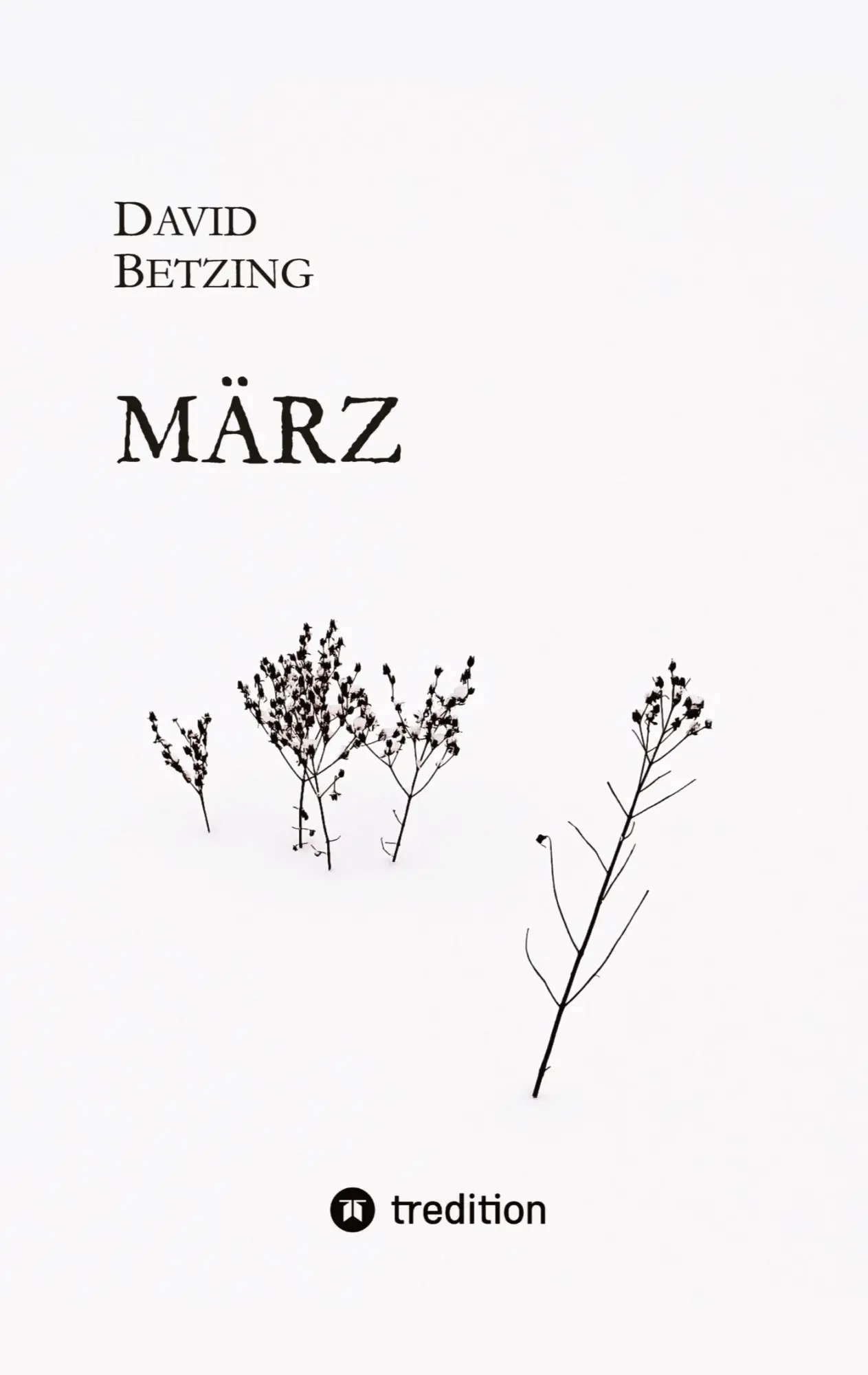 Cover: 9783384041227 | März | David Betzing | Taschenbuch | Paperback | 192 S. | Deutsch