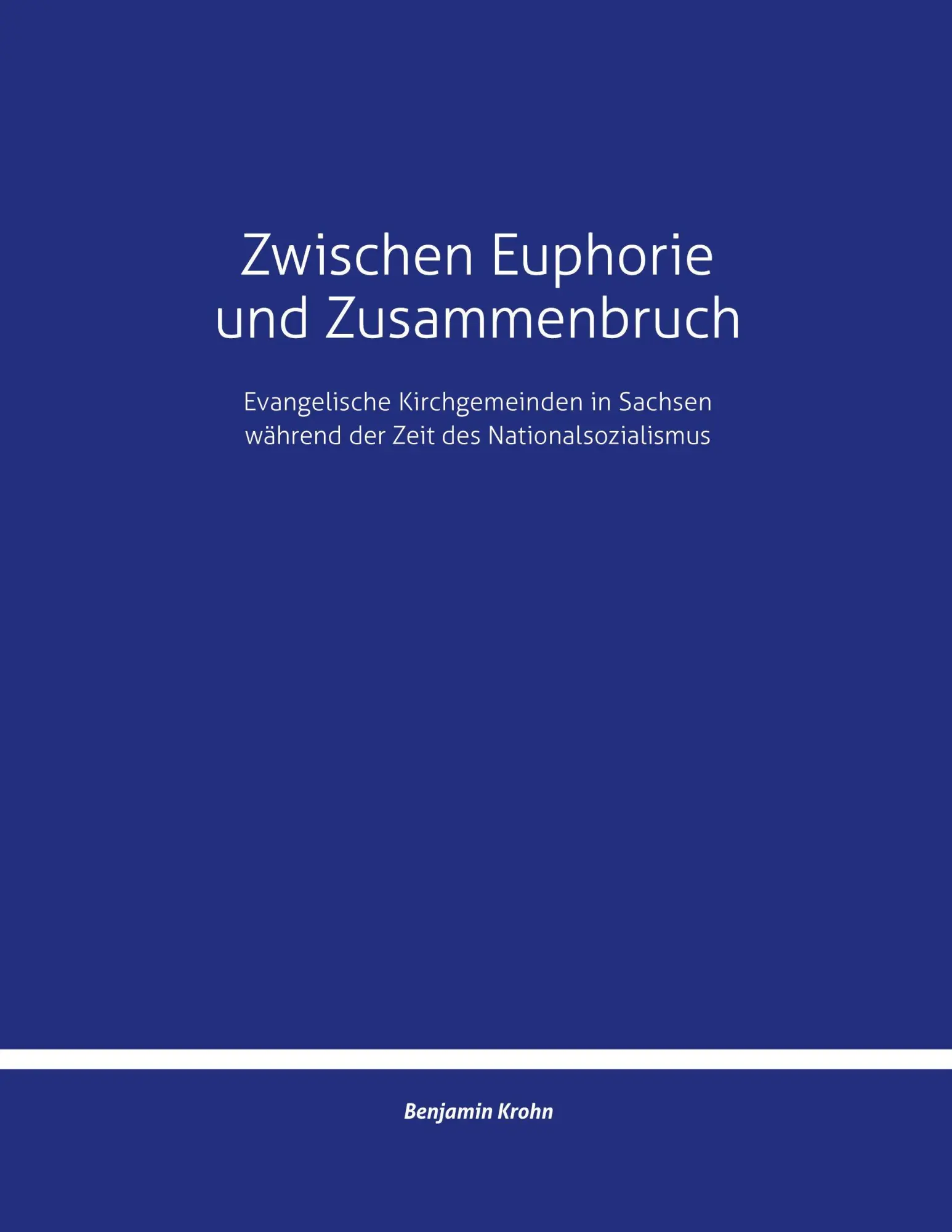 Cover: 9783695761227 | Zwischen Euphorie und Zusammenbruch | Benjamin Krohn | Taschenbuch