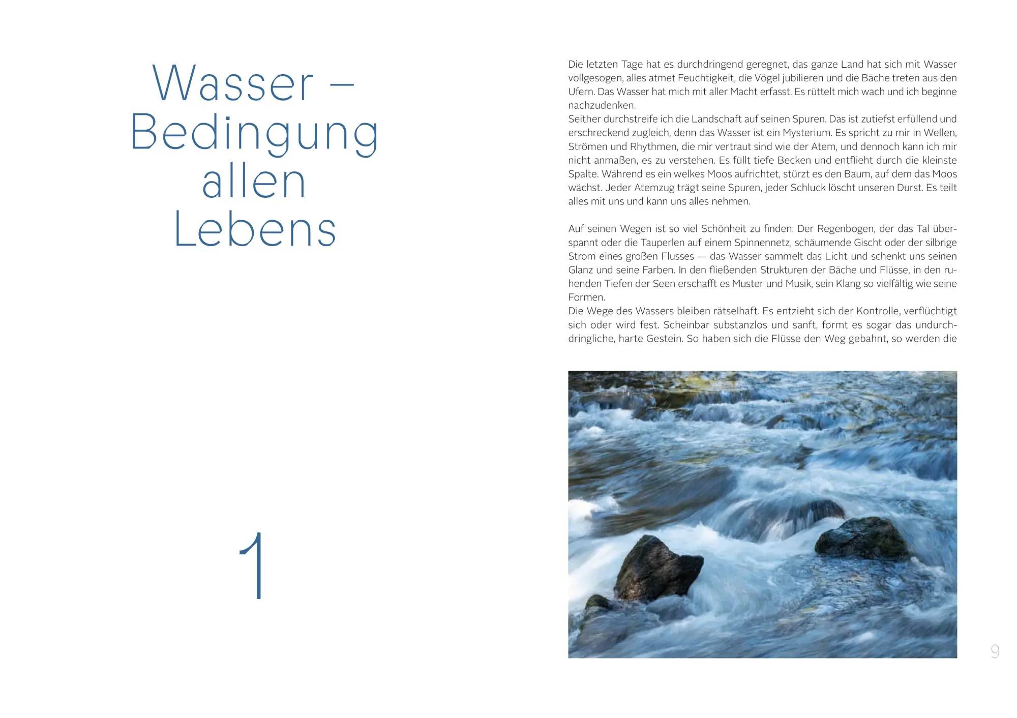 Bild: 9783702511227 | Die Gaben des Wassers | Karin Hochegger | Buch | 256 S. | Deutsch