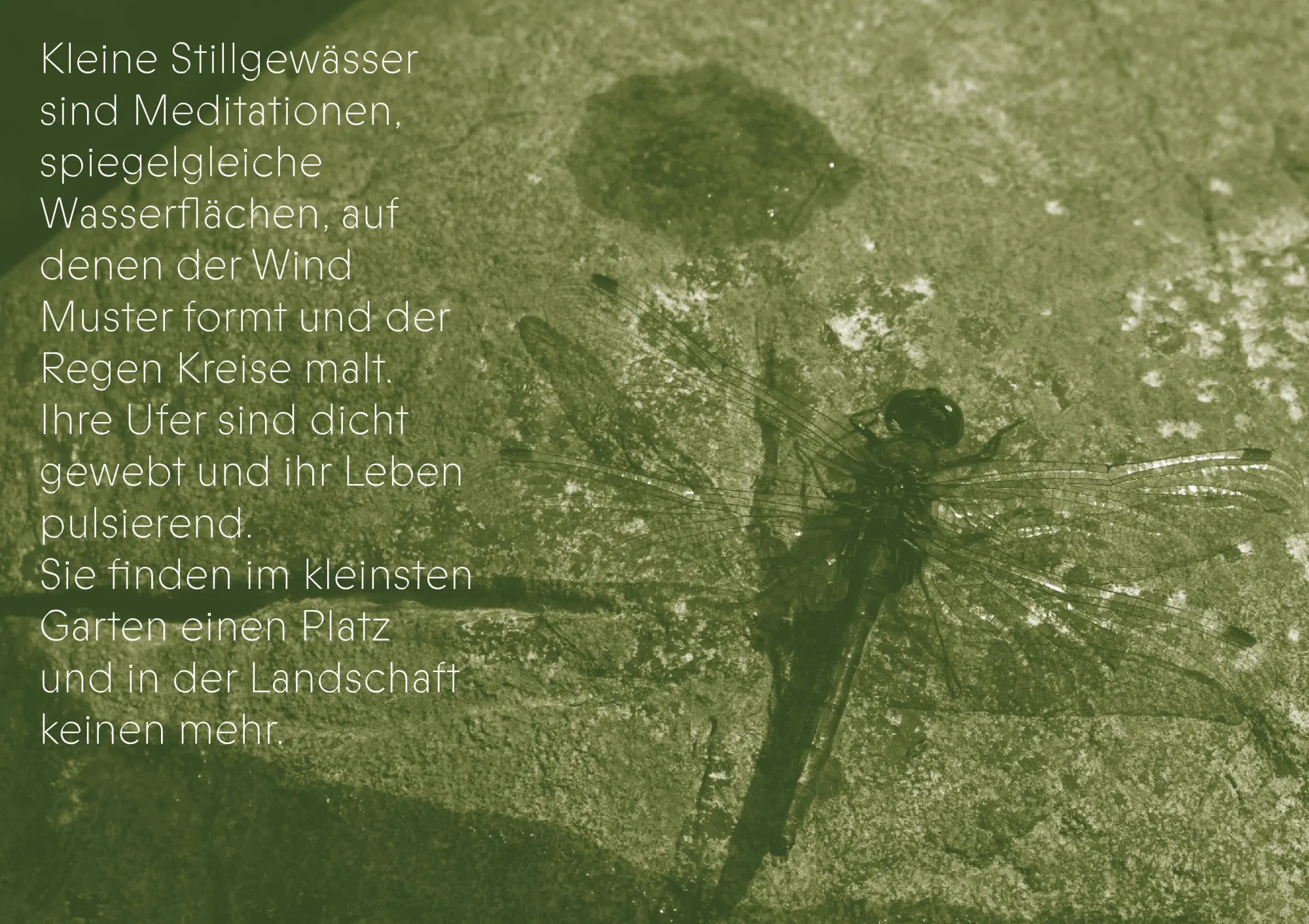 Bild: 9783702511227 | Die Gaben des Wassers | Karin Hochegger | Buch | 256 S. | Deutsch