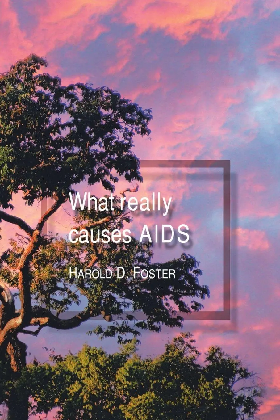 Cover: 9781553691327 | What Really Causes Aids | Harold D. Foster | Taschenbuch | Englisch