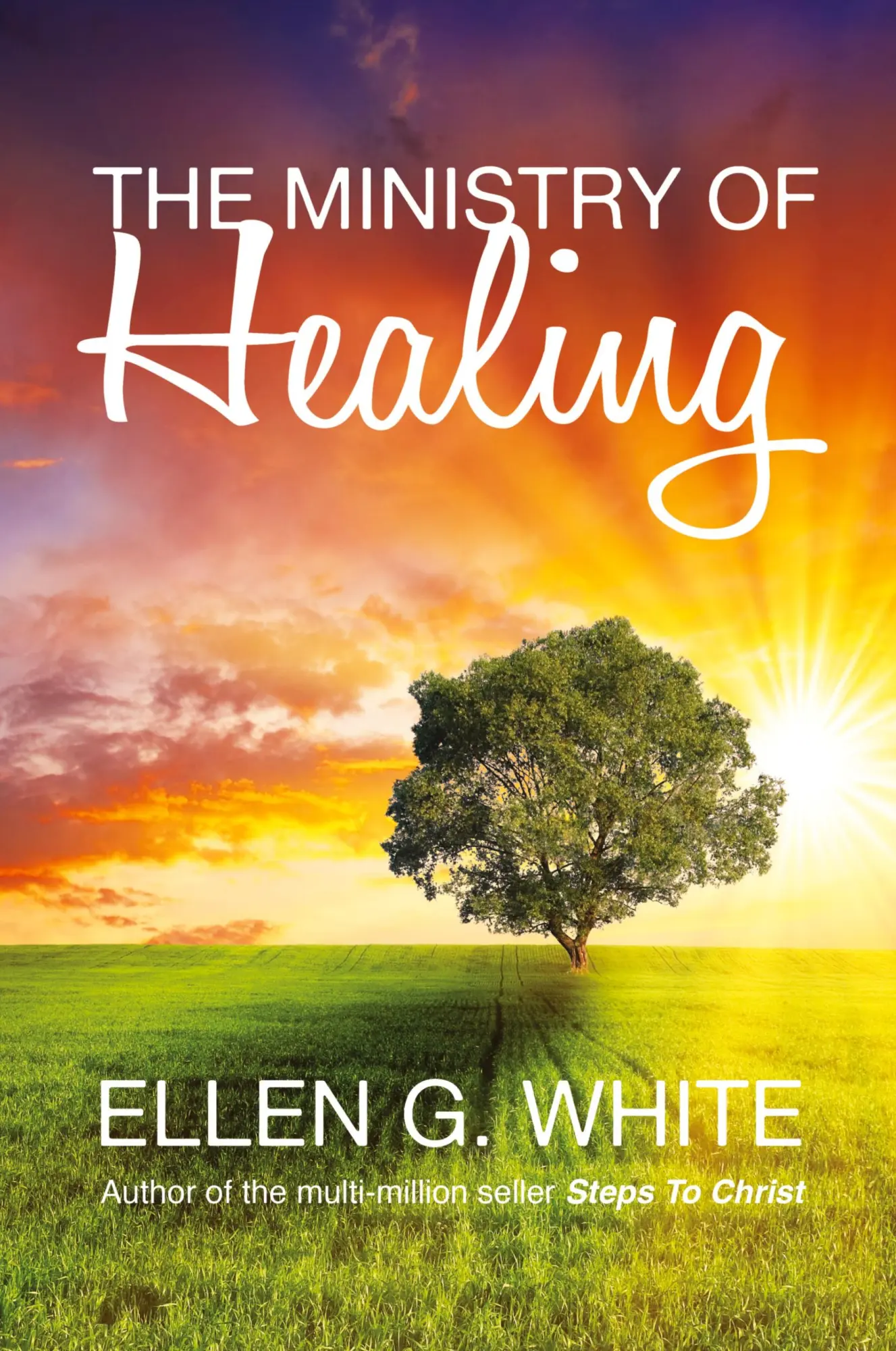 Cover: 9781907661327 | The Ministry of Healing | Ellen G. White | Taschenbuch | Englisch