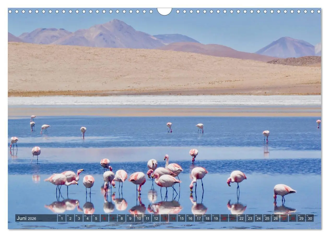 Bild: 9783457841327 | Peru Bolivien Chile (Wandkalender 2026 DIN A3 quer), CALVENDO...