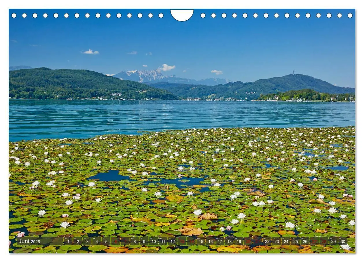 Bild: 9783457831427 | Der Wörthersee - Österreichs Riviera (Wandkalender 2026 DIN A4...