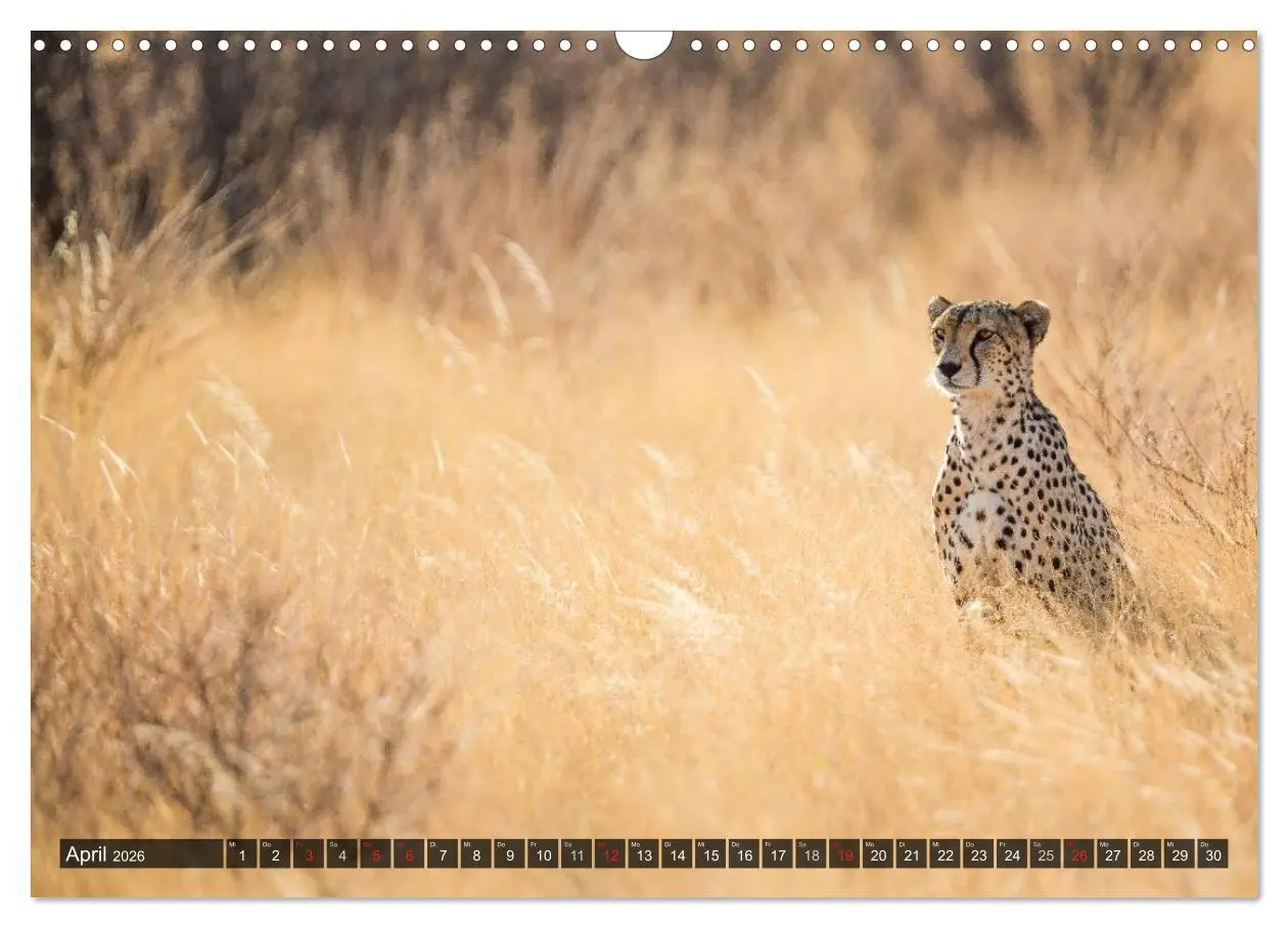 Bild: 9783516161427 | Kenia 2026 (Wandkalender 2026 DIN A3 quer), CALVENDO Monatskalender