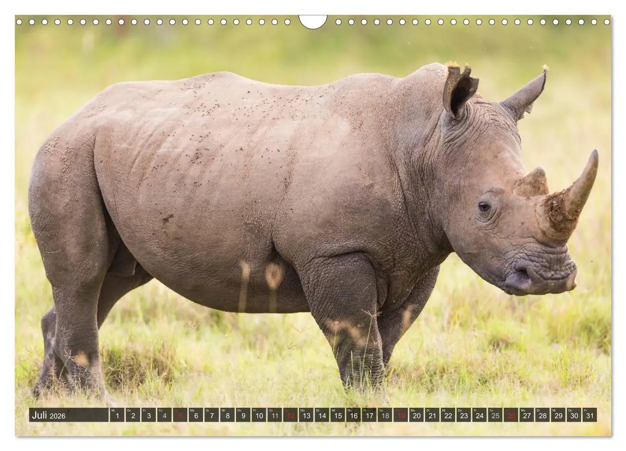 Bild: 9783516161427 | Kenia 2026 (Wandkalender 2026 DIN A3 quer), CALVENDO Monatskalender