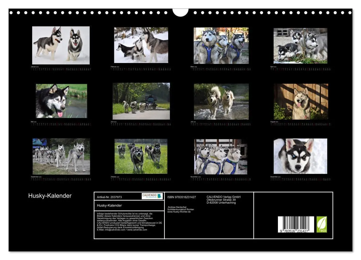 Bild: 9783516231427 | Husky-Kalender (Wandkalender 2026 DIN A3 quer), CALVENDO...