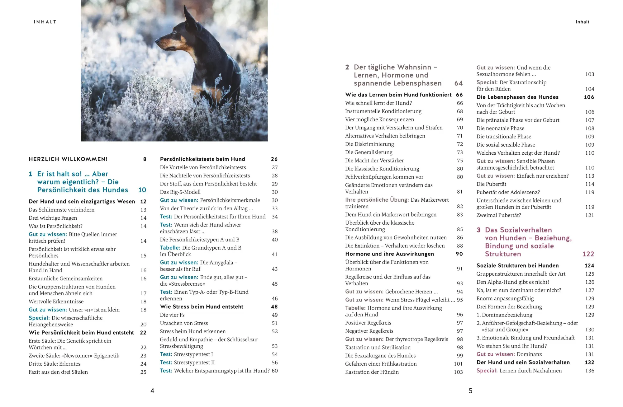 Bild: 9783833891427 | Wie ich meinen Hund endlich verstehe | Kristina Ziemer-Falke (u. a.)