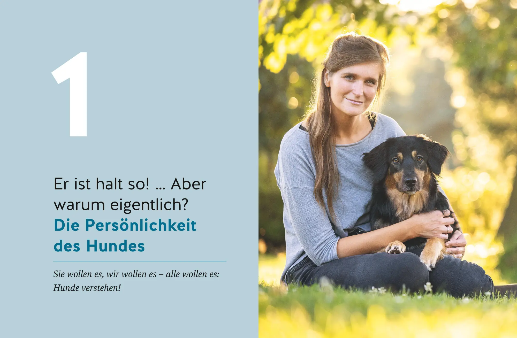 Bild: 9783833891427 | Wie ich meinen Hund endlich verstehe | Kristina Ziemer-Falke (u. a.)