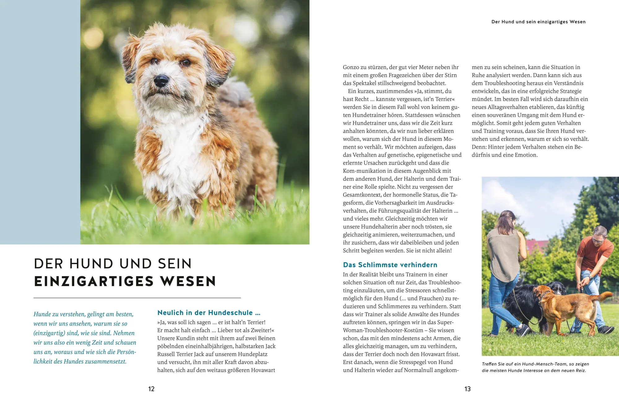 Bild: 9783833891427 | Wie ich meinen Hund endlich verstehe | Kristina Ziemer-Falke (u. a.)