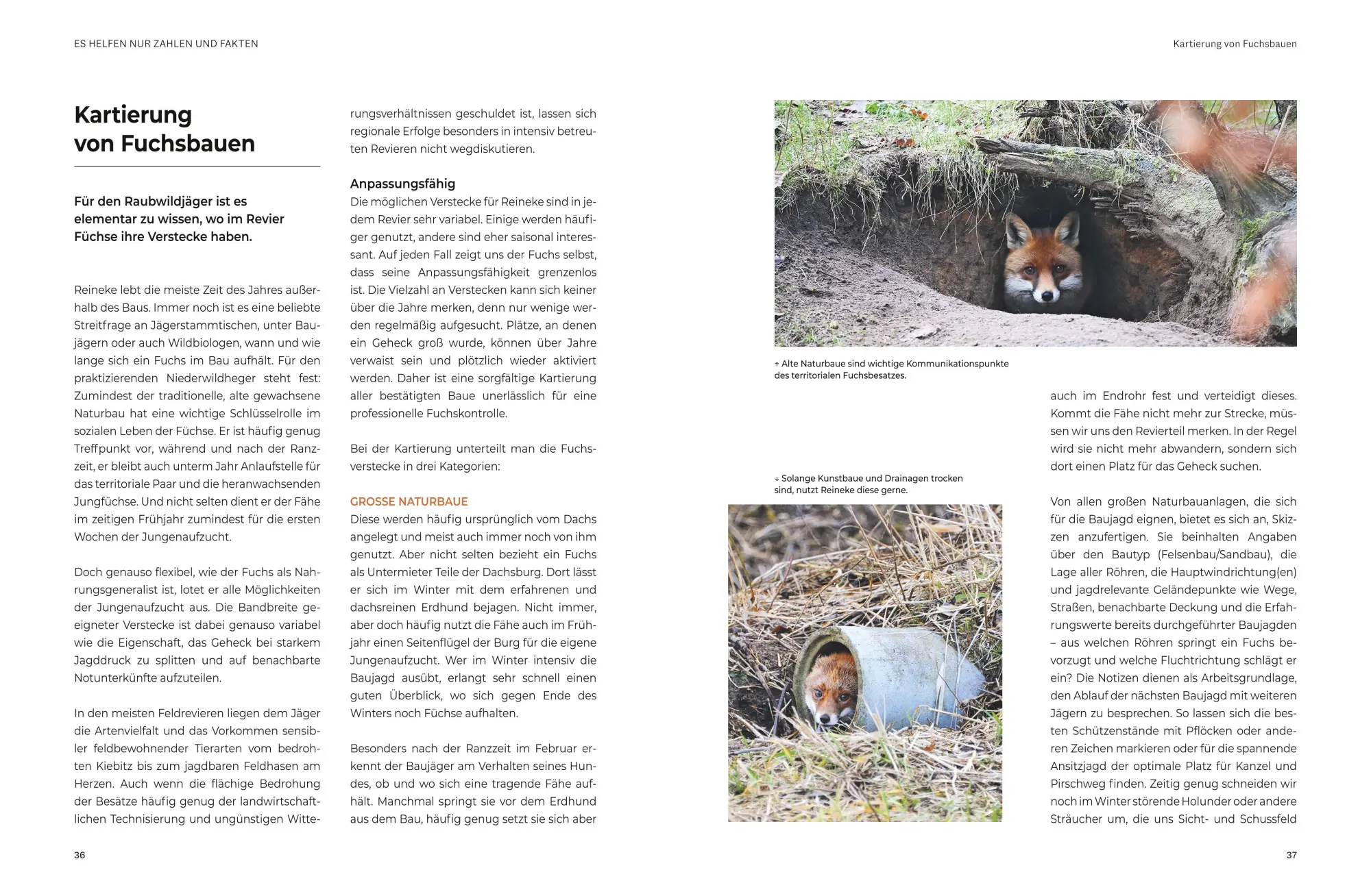 Bild: 9783967471427 | Das große BLV Handbuch Niederwild | Hege und Jagd | Matthias Meyer
